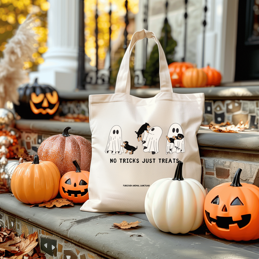 Spooky Tote Bags | Trick or Treat Bags