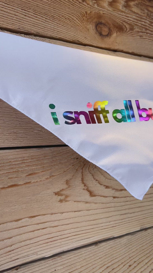 The “I Sniff All Butts” Pride Bandana